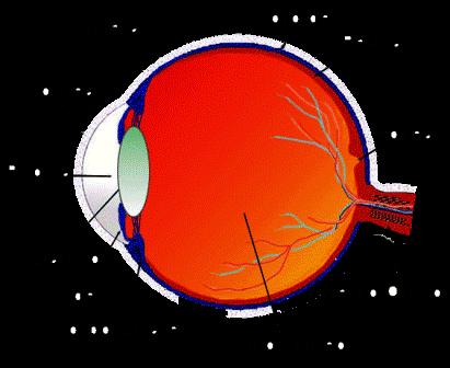 Ottica fisica: luce e