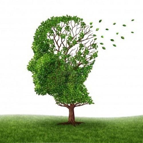 Alzheimer: lo l Studio di Segni Premonitori >> LA RICERCA SCIENTIFICA IN ITALIA << Programma: 21.