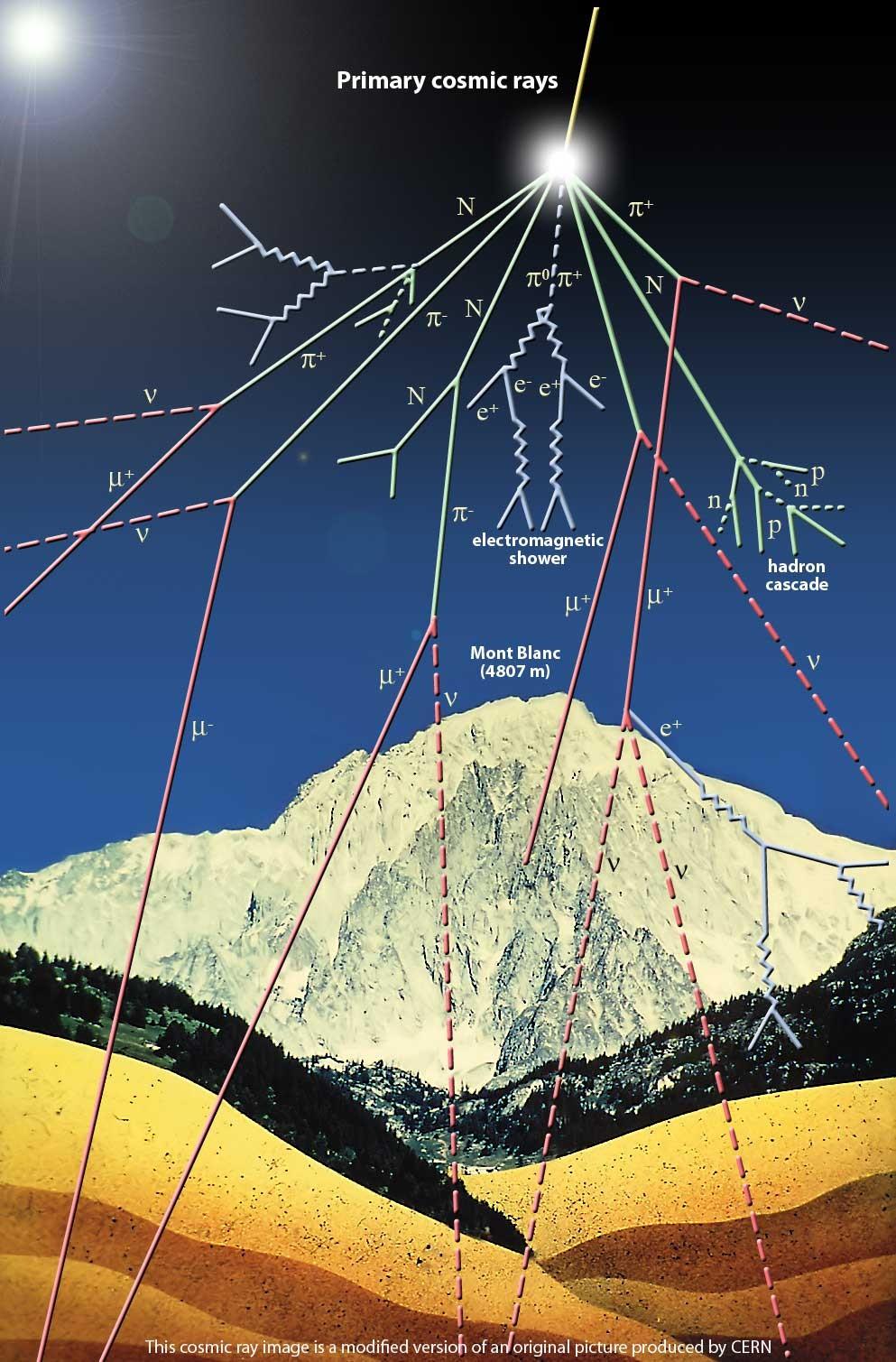 La sorgente dei µ I~1 min-1 cm-2 I muoni sono prodotti in abbondanza negli sciami