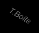 Boite-Maè-Piave