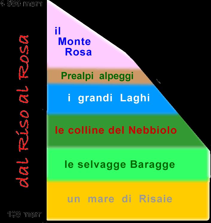 Un territorio riconoscibile LE RISPOSTE: il