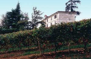 CRUS Il termine Cru, nella terminologia enologica francese, indica una zona, un vigneto o una piccola località che, grazie alle sue specifiche climatiche, geologiche e ambientali, produce vini di