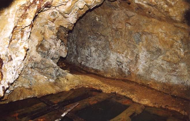 Il mito dell oro nella cultura alpina La ricerca dell oro in Piemonte e Valle d Aosta. I giacimenti auriferi delle Alpi Occidentali.