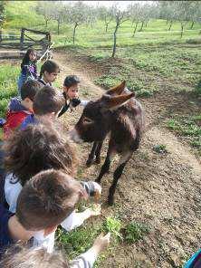 Poi abbiamo fatto merenda, abbiamo giocato e infine abbiamo fatto una passeggiata nel bosco per