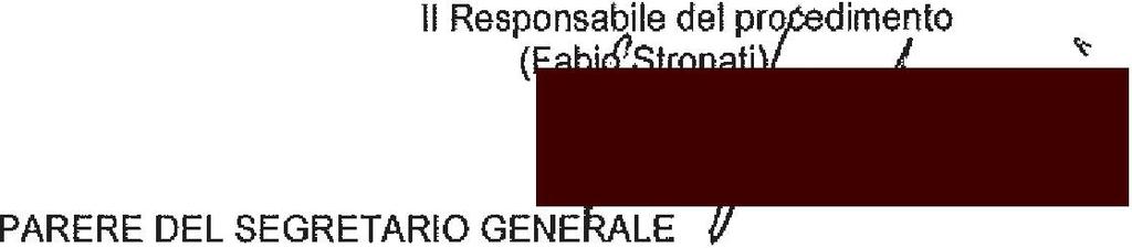 Tale comma stabilisce che il rapporto di lavoro è regolato da un contratto di lavoro subordinato a tempo determinato o, in relazione a particolari esigenze di consulenza della segreteria, da un