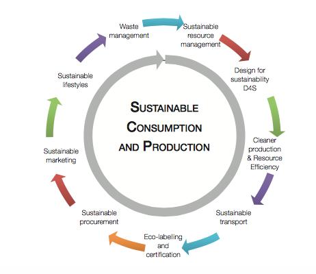 La strategia comunitaria per uno sviluppo sostenibile, nel 2006, ha indicato il consumo e la produzione sostenibile come una delle sfide chiave da affrontare un approccio olistico per ridurre al
