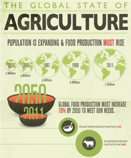 Perchè agricoltura sostenibilie e rischio?