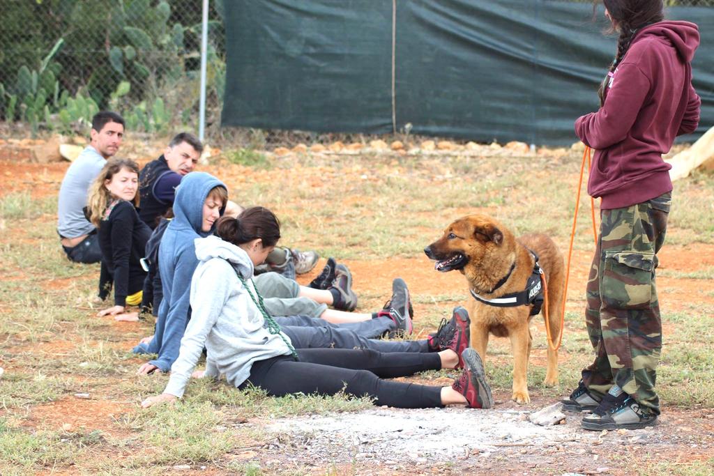 qualifica nazionale di Educatore Cinofilo, due percorsi aggiuntivi: il Campus Intensivo e il Tecnico Dog Trekking.