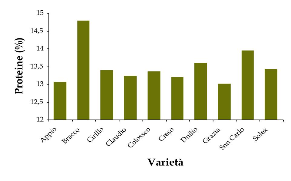 Variazione del contenuto proteico frumento duro in Toscana (1998-2003) Effetto anno (clima) Effetto varietà Effetto località Pisa