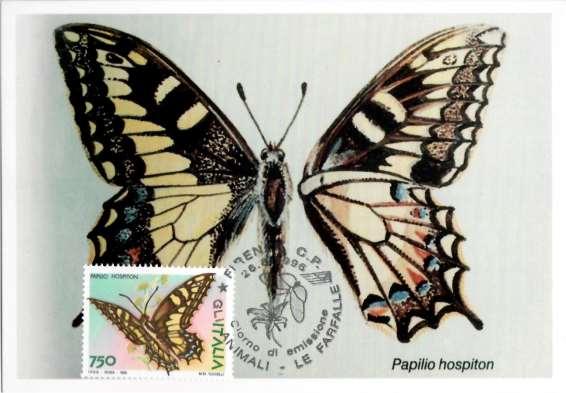 Farfalla Papilio Hospiton Em.