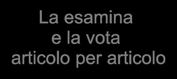 vota articolo per articolo La invia all'altra