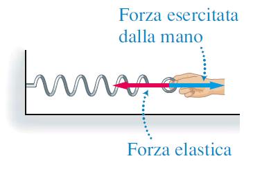 6 La forza elastica Per allungare una molla dobbiamo compiere uno sforzo per vincere la