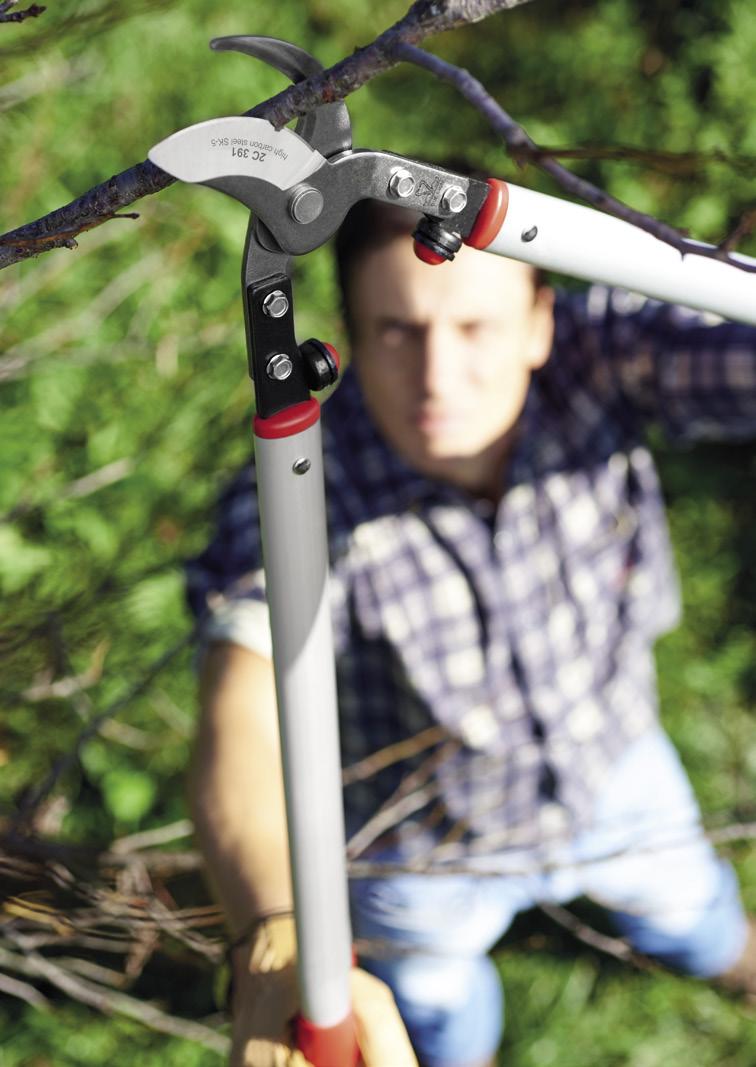 LOPPERS-BRANCH CUTTING SHEARS