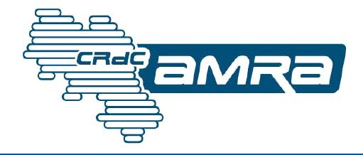 DEGLI EFFETTI DI AMPLIFICAZIONE DI SITO PER STUDI DI