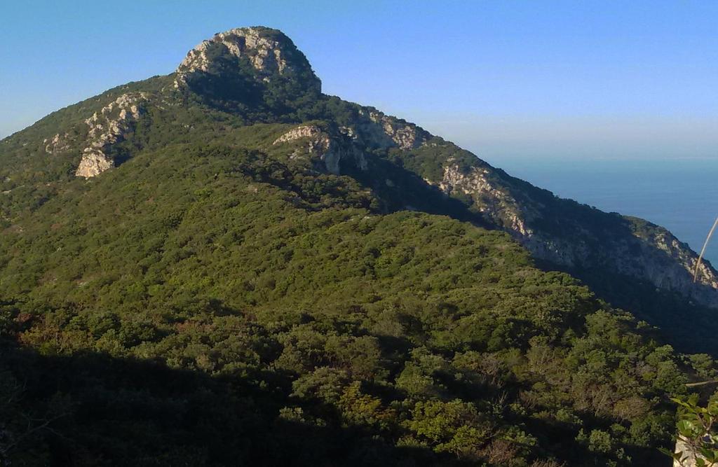 TRAVERSATA E ANELLO DEL MONTE CIRCEO (541M) IL TITOLO domenica 17 febbraio Appuntamento: Uscita GRA Laurentina, direzione Roma -(200 m dall uscita del GRA Parcheggio Ipermercato PANORAMA) - Via de'