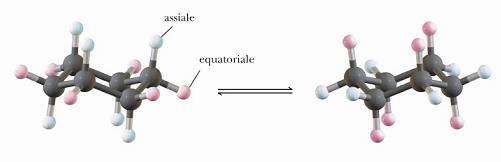 Come conseguenza dell interconversione tra le due conformazioni a sedia, gli idrogeni equatoriali di una conformazione diventano gli idrogeni assiali dell altra, e viceversa Cicloalcani da 7 a 16