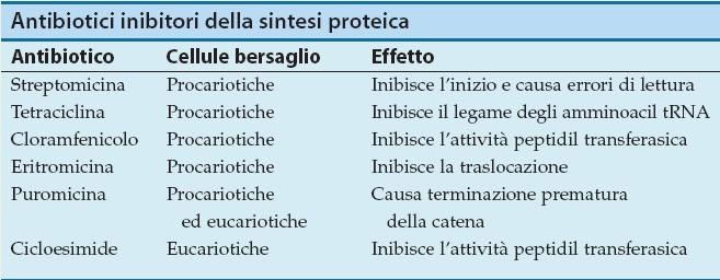 Gli inibitori della sintesi proteica