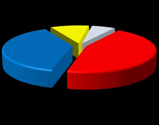 Cariche attive femminili per classi di età Cariche femminili attive per classe di cariche >= 70 anni 10% da 18 a 29 anni 6% Altre cariche 4%