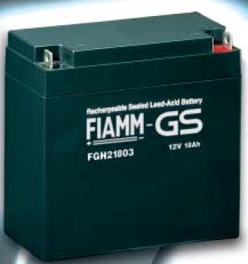 ACCUMULATORI SCELTI Batterie Piombo acido FGH2183 della FIAMM Batterie Li-ion ICP653047AS della Maxell Costo ridotto Possibilità di ricarica