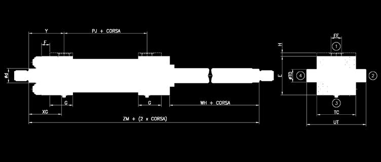 G ANCORAGGIO ISO MT1 DOPPIO STELO Ancoraggio doppio stelo G Alesaggio 25 32 40 50 63 80 100 125 160 200 12 14 18 22 28 36 45 56 70 90 d (ø stelo) - 18 22 28 36 45 56 70 90 110 18 22 28 36 45 56 70 90