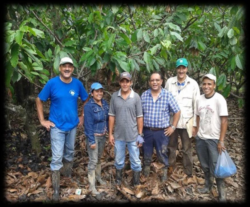 I risultati di tali analisi sono stati utilizzati per organizzare master per promotori agricoli dei 3 Paesi centroamericani in cui si sviluppa l intervento.