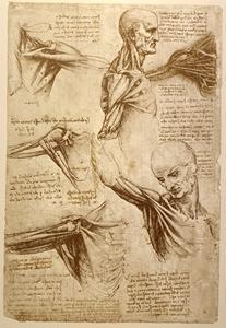 Leonardo da Vinci È uno degli autori più importanti del Rinascimento italiano Fu pittore, scultore, poeta e scienziato Diede il primo avvio alla moderna metodologia della scienza, disegnò