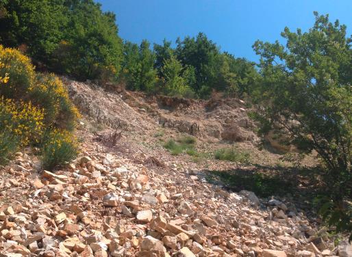Vista della scarpata in roccia di monte, parzialmente ricoperta dal terreno di riporto sopra