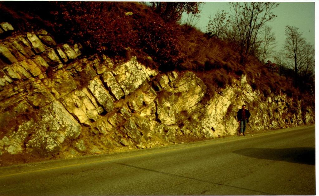 SEGNALI PREMONITORI DI FRANE DI CROLLO presenza di discontinuità nell ammasso roccioso Le pareti rocciose non sono