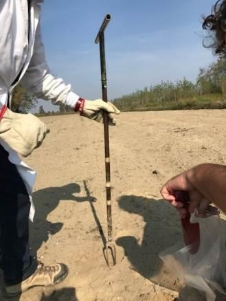 Per le analisi di tipo agronomico il totale dei campioni qui esaminato è