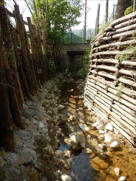 sponda al rio Figura 19: Morfologia dell alveo, stretto tra opere