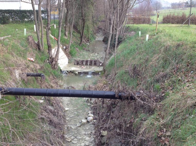 Tabella 2 Punti di misura monitoraggio chimico-fisico rio BOTTAZZO Codice punto BOT1 BOT2 Descrizione All altezza della chiesa di Pontenovo Prima della confluenza nel bacino dell Enza (sottende zona