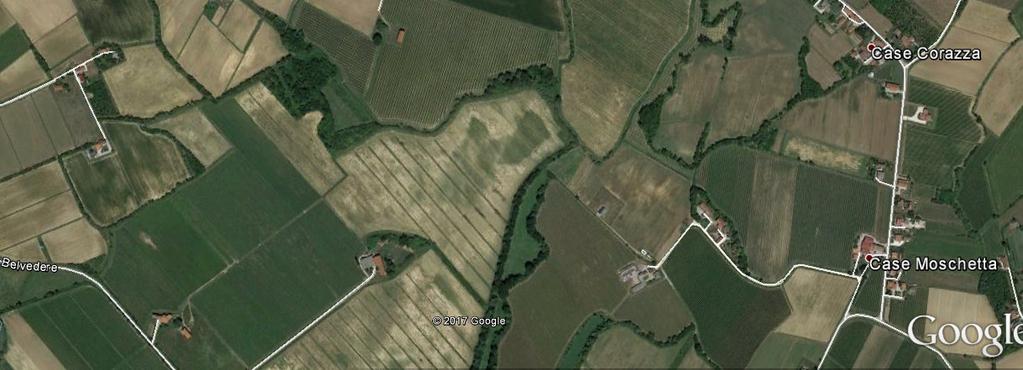 Pordenone (PN) e censito al Foglio n. 36 mapp. 28 (nella foto seguente viene evidenziata l area oggetto d irrigazione fonte Google Earth).