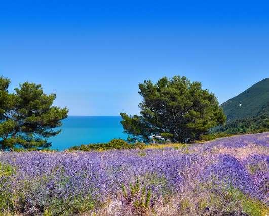 passeggiate guidate attraverso i filari dei nostri