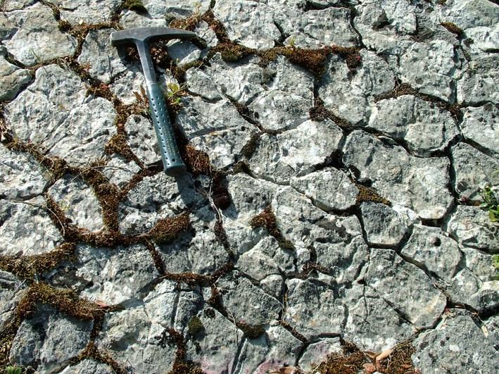 O GIUNTI Per contrazione legata ad "essiccamento" con geometria analoga ai giunti colonnari si formano i "mud-cracks" Strutture da "essiccamento" (mud-cracks) nella successione cretacica della