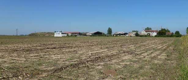 residenziali di Zorlesco, sullo sfondo, segnano il margine tra l insediamento ed il