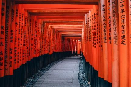 Visita al santuario shintoista Meiji Jingu e del caratteristico quartiere di Asakusa, dove sorge il tempio Senso-ji del VII sec.