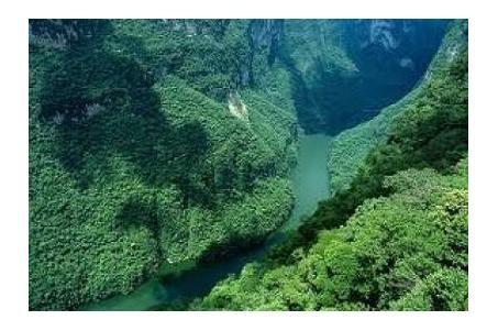 , con pareti di roccia che s innalzano per circa 1.200 mt, rappresenta l habitat ideale per animali a rischio d estinzione: la scimmia ragno, il coccodrillo di fiume, iguane.