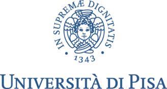 La Scuola Superiore Sant'Anna (di seguito "Scuola"), l'università di Pisa e la Scuola IMT Alti Studi di Lucca bandiscono per l'anno accademico 2019-2020 un concorso pubblico per l'ammissione al Corso