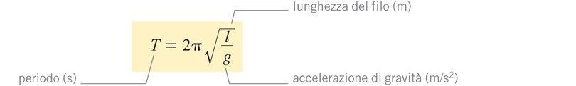 Confrontando la formula (1) con quella del moto armonico (a=ω 2 s), possiamo determinare il periodo del pendolo: ω 2 = g l # % 2π $ T & ( ' 2 = g l da cui : Per piccole oscillazioni, T non dipende né