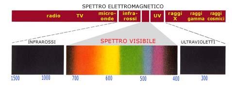 Al contrario i bastoncelli sono tutti ugualmente sensibili alle diverse lunghezze d onda, e quindi consentono solo una visione priva di colori.