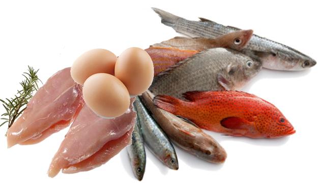 Esattamente al centro della piramide ci sono gli alimenti da consumare non ogni giorno, ma quantomeno più volte alla settimana: il pesce, le carni bianche, le uova.