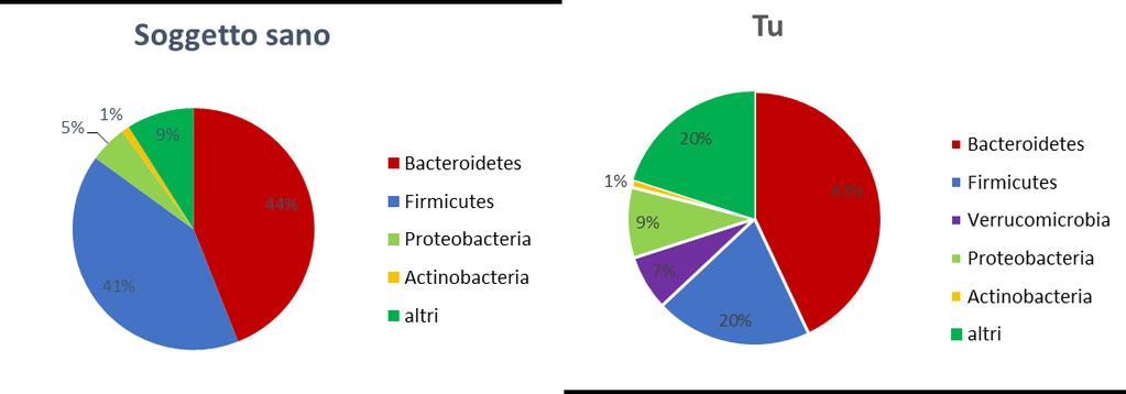 % Phyla (Il Phylum indica un gruppo di batteri suddiviso in base al criterio di affinità e somiglianze) Stili di vita a confronto