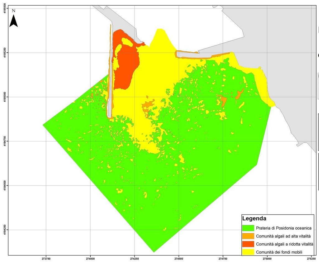 Figura 7.5 Rappresentazione cartografica delle principali biocenosi presenti nell area. Tabella 7.