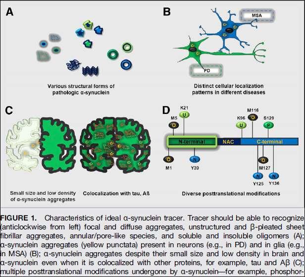 Molecular imaging insights into neurodegeneration.
