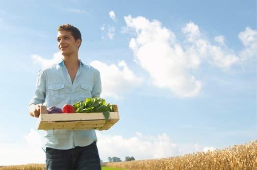 Soggetti richiedenti - PG Giovani agricoltori che si insediano per la prima volta in una azienda agricola in qualità di capo dell azienda.