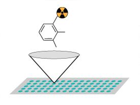 Profiling di piccole molecole La molecola (ligando) di interesse viene marcata (radioattivamente, con biotina o con un fluoroforo) e posta ad incubare