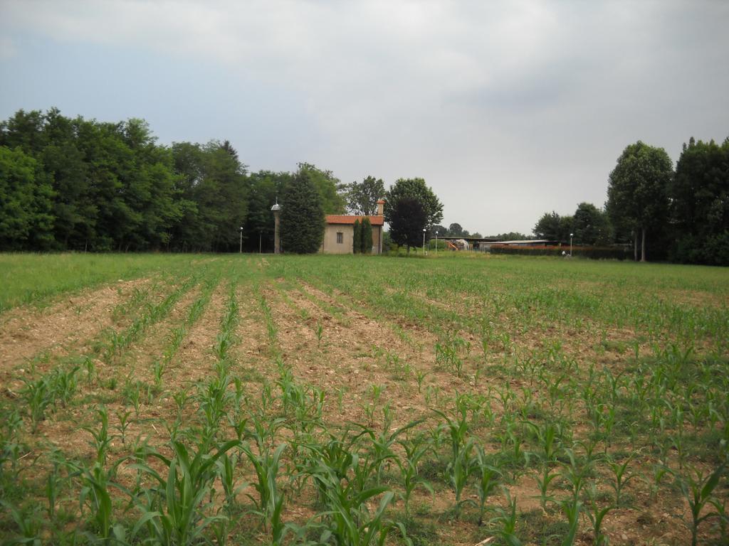 Parte individuata come verde di quartiere.