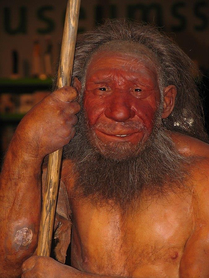 L evoluzione dell uomo: homo neanderthalensis Quando: 440.000-40.