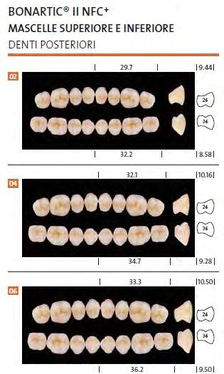 Bonartic II NFC+ Candulor La morfologia occlusale dei diatorici inferiori fa riferimento al tragitto condilare, per cui l inclinazione cuspidale misura 30 in protrusione e 20 nella laterotrusione.