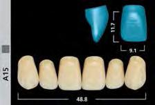 SR Vivodent S PE/DCL LARGE Protesi Mobile, Denti Artificiali I - 16 SR Orthotyp S PE/DCL TABELLA DI COMBINAZIONE SR